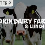 Adult Trip – Dakin Dairy Farm & Lunch