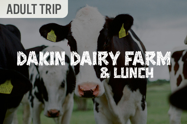 Adult Trip – Dakin Dairy Farm & Lunch