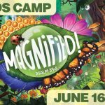 Magnified! Kids Camp – June 16-20
